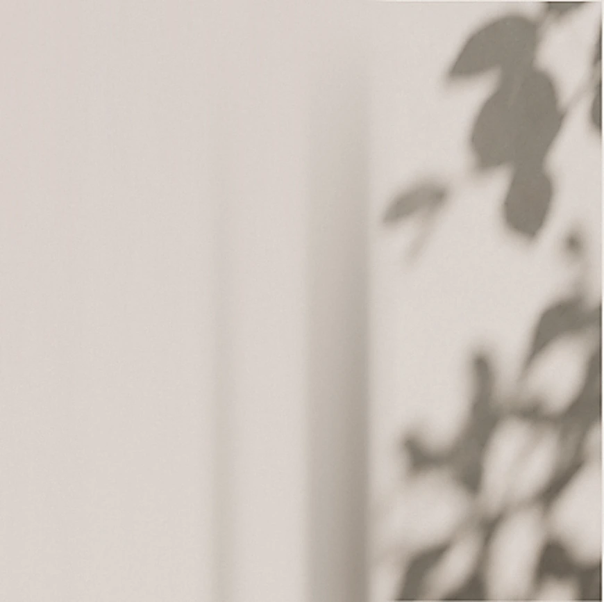 Soft leaf shadows falling across a warm cream wall, from the supplied design